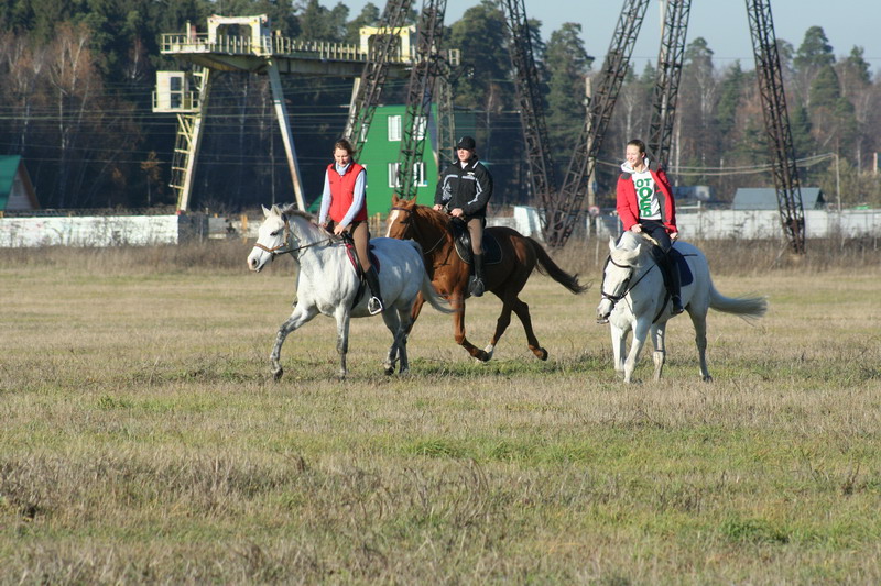 IMG_1059.jpg1.jpg"%20height="533"%20width="800